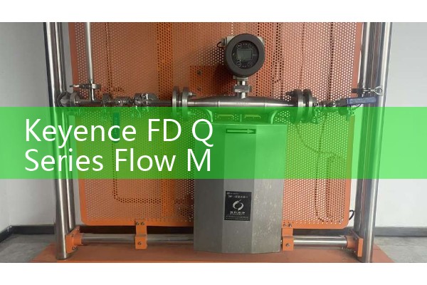 mustard oil flow meter
